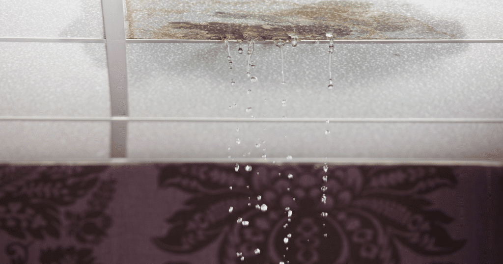 Roof leak Florida mold