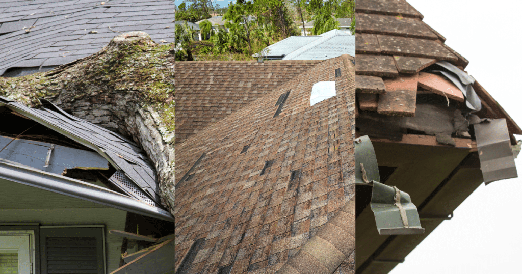 Florida roof tips illustrated with storm damage, fallen tree, and sun-damaged shingles
